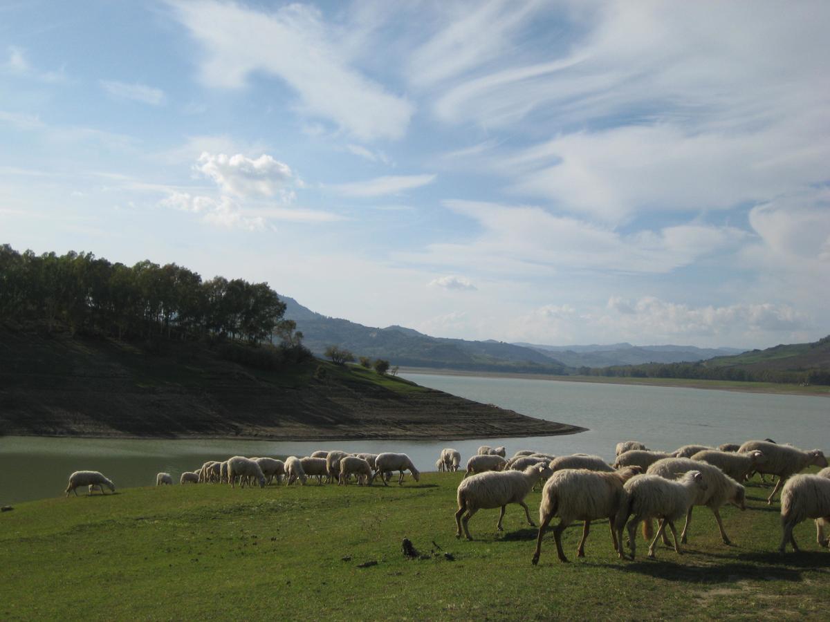 Oasi Del Lago Regalbuto Exterior photo