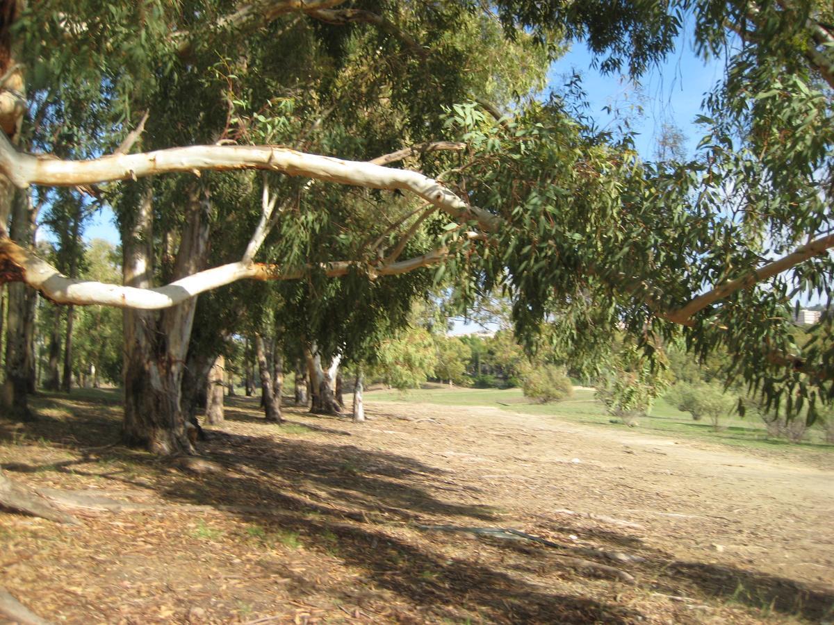 Oasi Del Lago Regalbuto Exterior photo