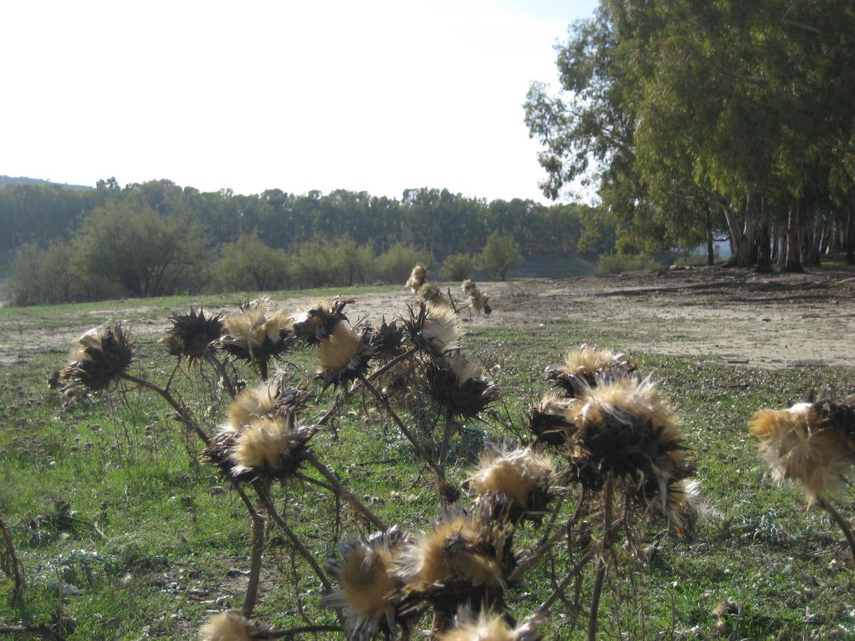 Oasi Del Lago Regalbuto Exterior photo