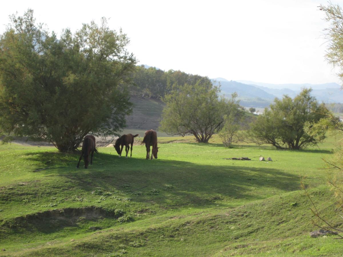 Oasi Del Lago Regalbuto Exterior photo