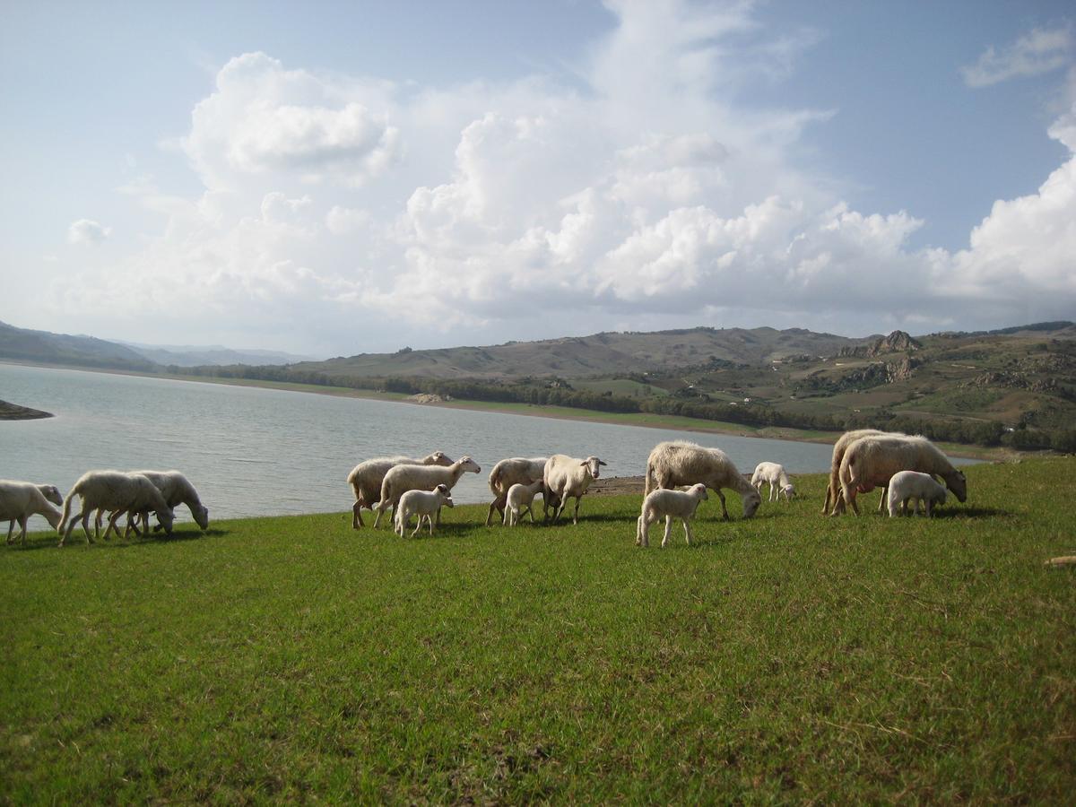 Oasi Del Lago Regalbuto Exterior photo